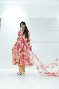 Suit Set-Fabric - Organza, Shantoon